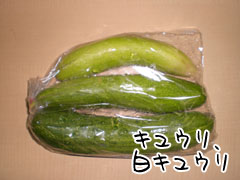 キュウリ白キュウリ_2.jpg