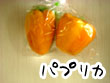 パプリカ_1.jpg