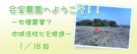 ブログ背景コピー2.jpg