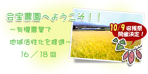 ブログ背景16.jpg