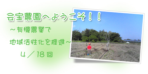 ブログ背景4.jpg