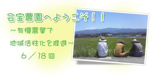 ブログ背景orgのコピー.jpg