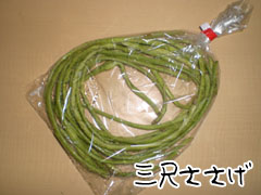三尺ささげ_2.jpg