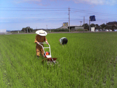 強力助っ人2.jpg