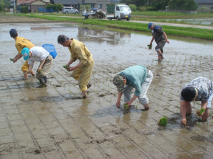 手植え!.jpg