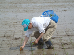 手植え！3.jpg