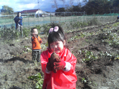芋ほったよー.jpg