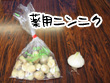 薬用ニンニク_1.jpg