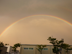 2010 0916 虹 003.jpg