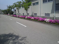 2011051912520000.jpg