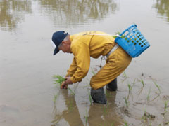 20110528-2.jpg