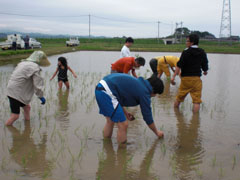 20110528-3.jpg