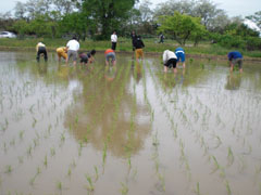 20110528-5.jpg