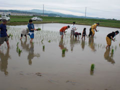 20110528-6.jpg