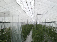 20110528-7.jpg