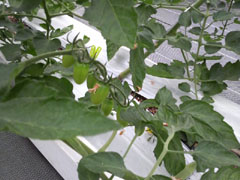 20110528-8.jpg