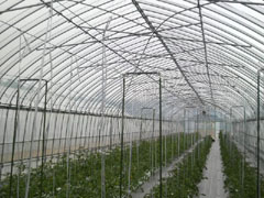 20110528-9.jpg