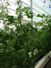20120406-1.jpg