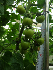20120406-2.jpg