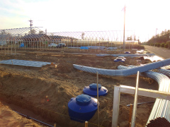 20120420-3.jpg