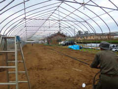 20120427-2.jpg
