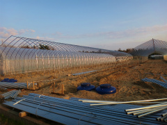 20120427-3.jpg