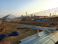 20120427-4.jpg