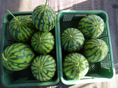 20120915-1.jpg