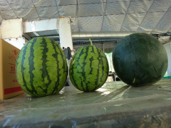 20120915-2.jpg