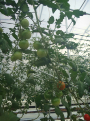 20121119-1.jpg