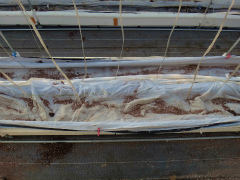 20121124-1.jpg