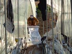 20121124-2.jpg