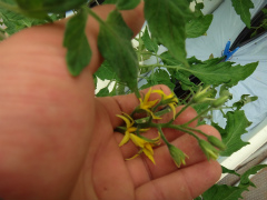 20130330-2.jpg