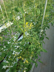 20130413-1.jpg