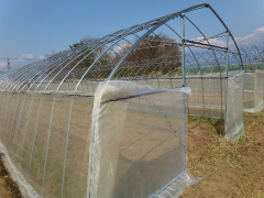 20130420-2.jpg