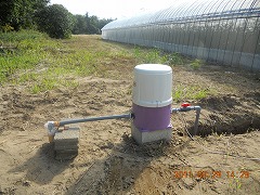 DSCN1385.jpg