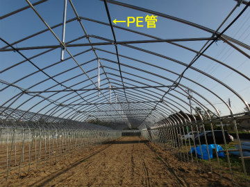 PE管.jpg
