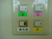 color3.jpg