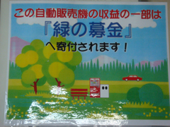 eco-3.jpg