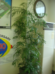 green7.jpg