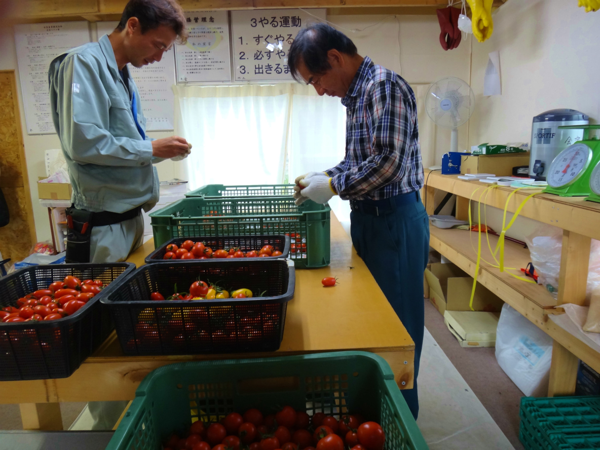 http://www.kaiho.co.jp/jp/blog-staff/img/s010.jpg
