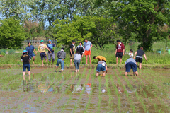 20140524-16.jpg