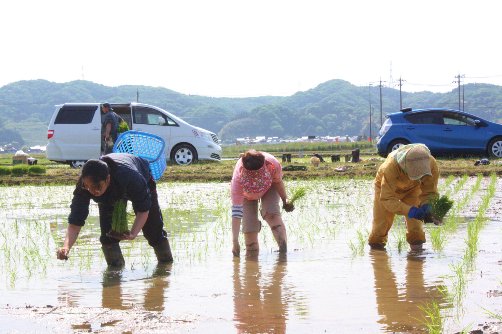 http://www.kaiho.co.jp/jp/news/img/20140524-14.jpg